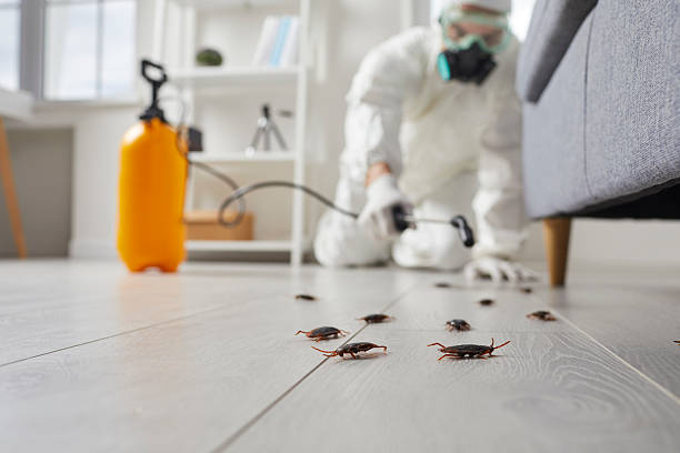 Commercial Rodent Management in Waverly